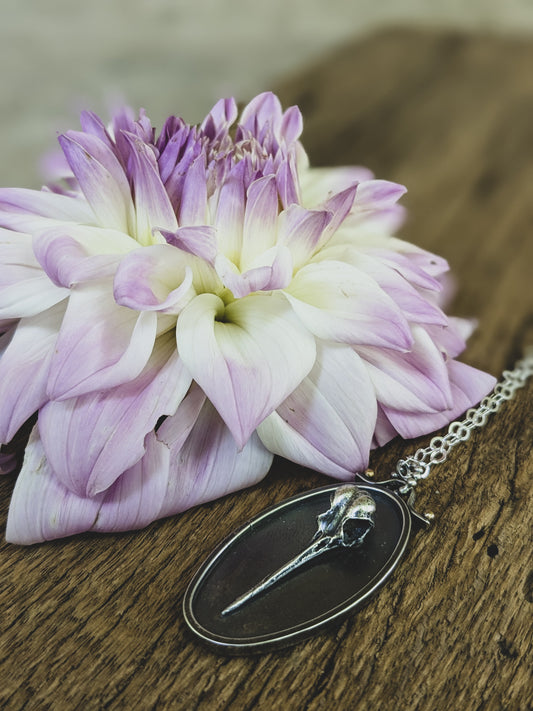 Hummingbird Specimen Pendant