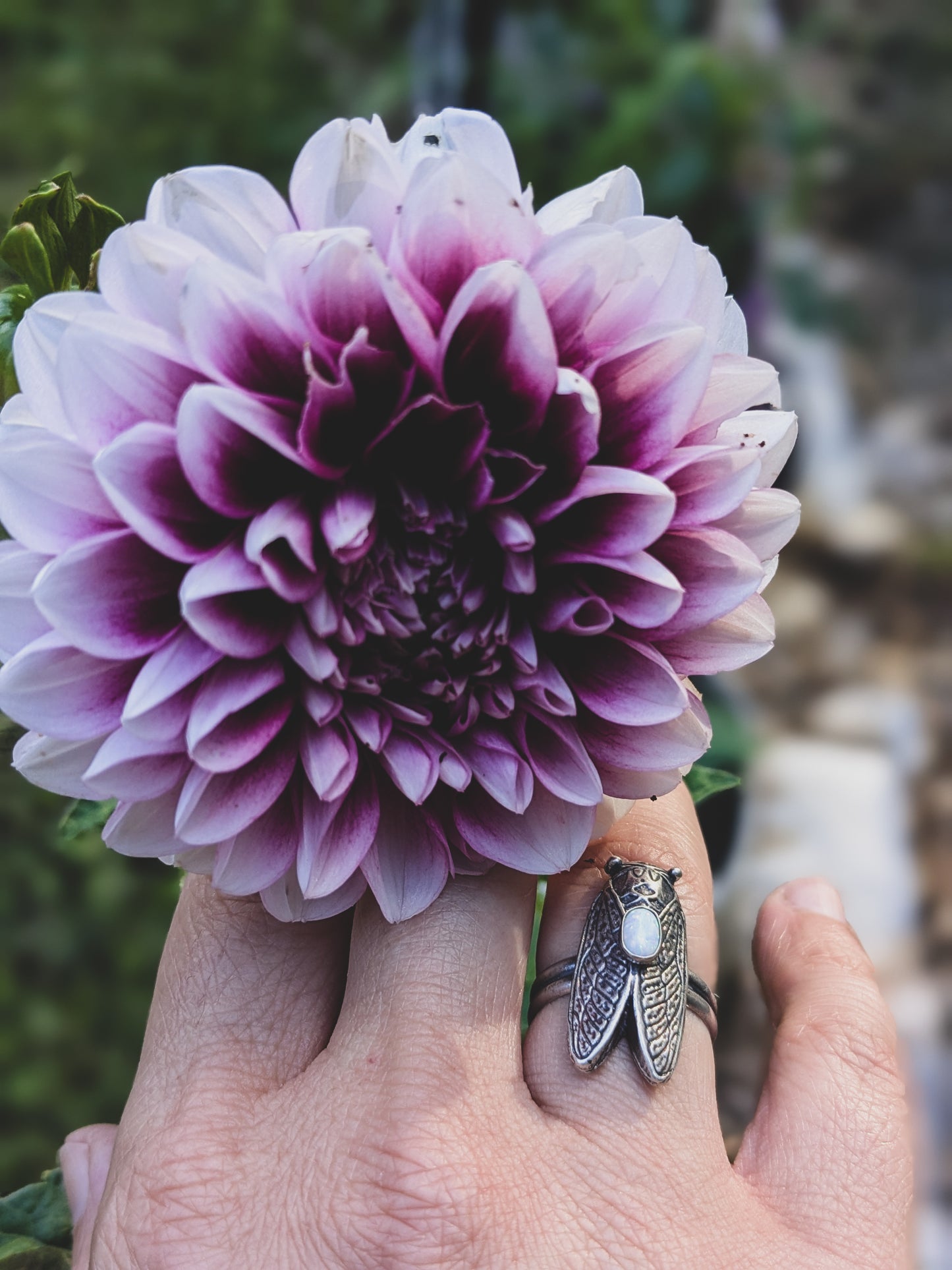Hand wearing sterling silver cicada with an opal stone ring holds purple flower