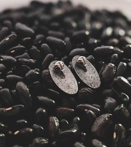 Mini Barred Owl Skull Post Earrings